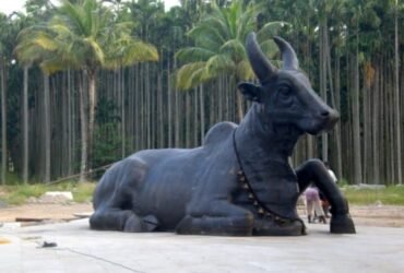 Nandi, the devotional bull